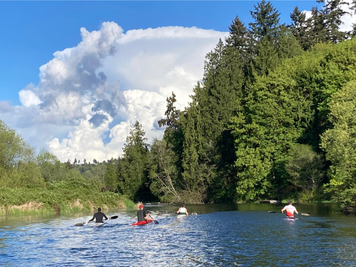 News & Updates, Year in Review 2024